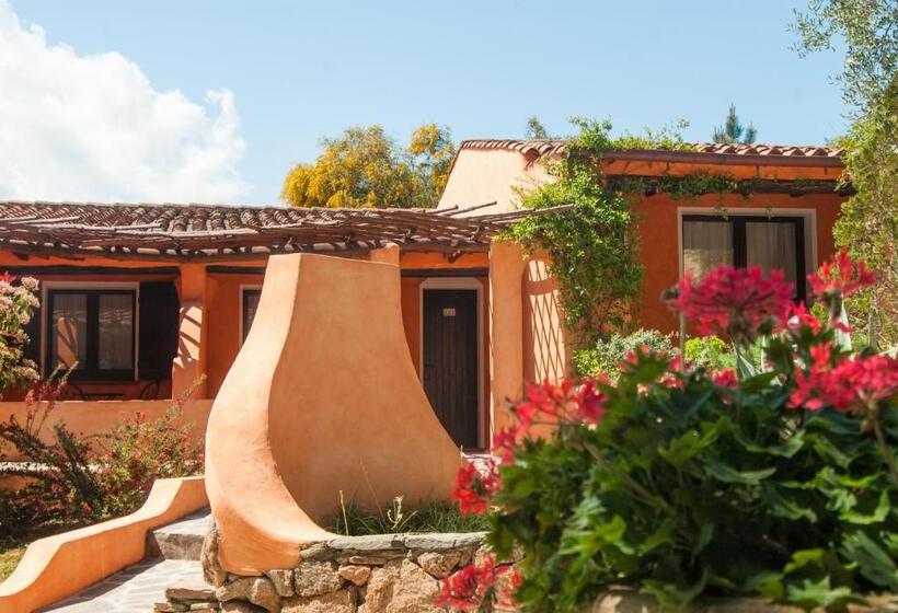 غرفة كومفورت, Ollastu