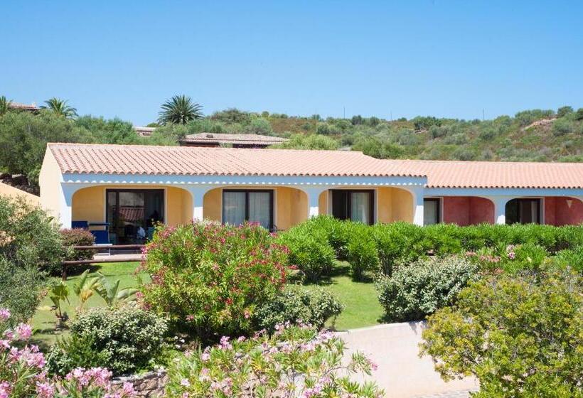 غرفة سوبيريور, Ollastu