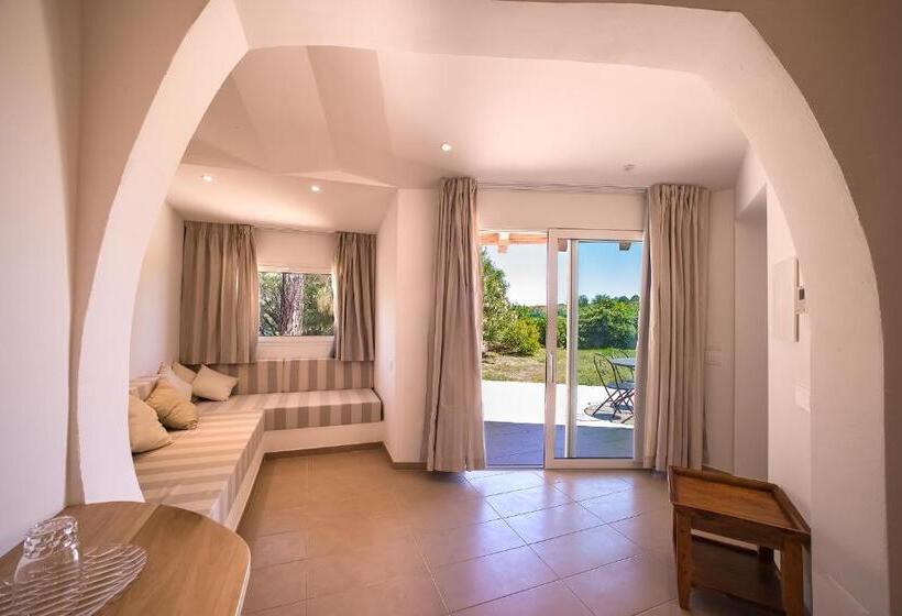 جناح جونيور, Ollastu