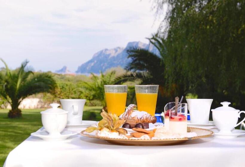 جناح جونيور, Ollastu