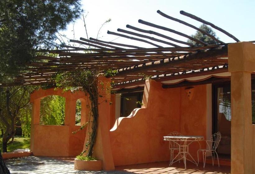 جناح جونيور, Ollastu