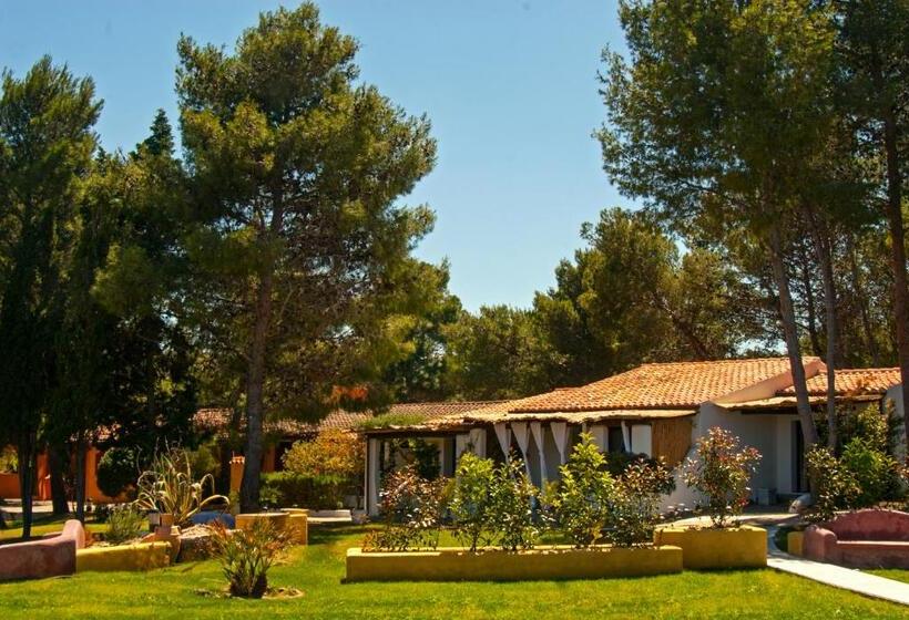 جناح جونيور عائلى, Ollastu