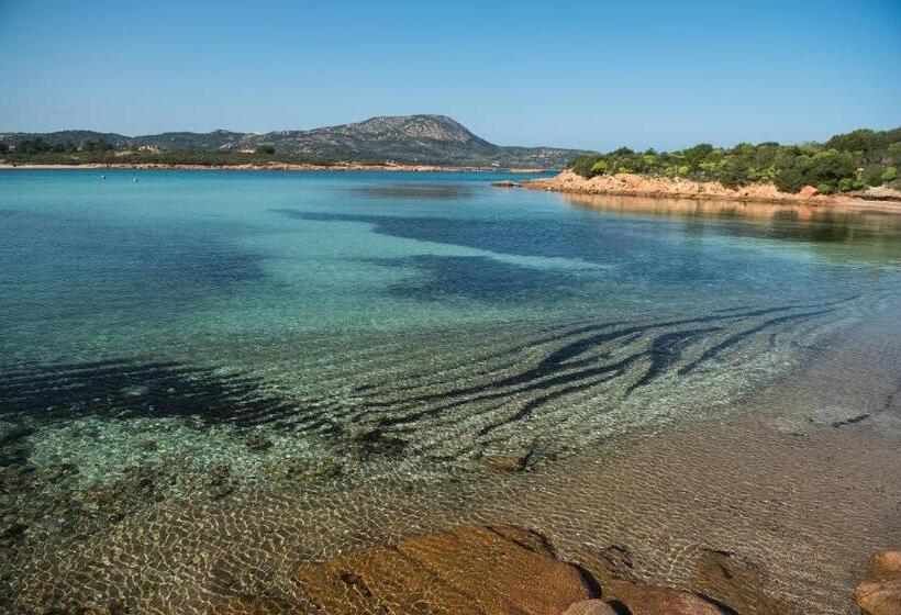 غرفة عائلية, Ollastu