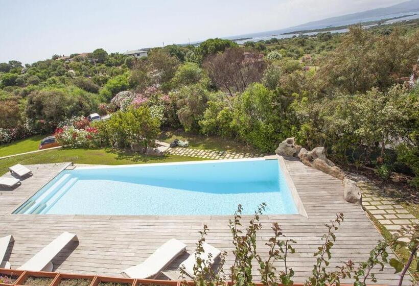 فيلا 5 غرف نوم, Ollastu