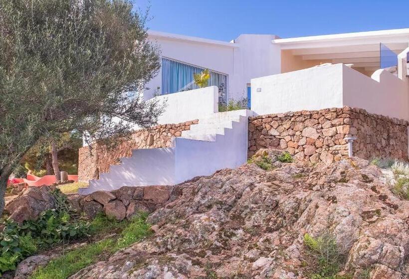 جناح ديلوكس, Ollastu