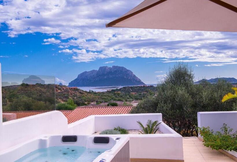 جناح ديلوكس, Ollastu