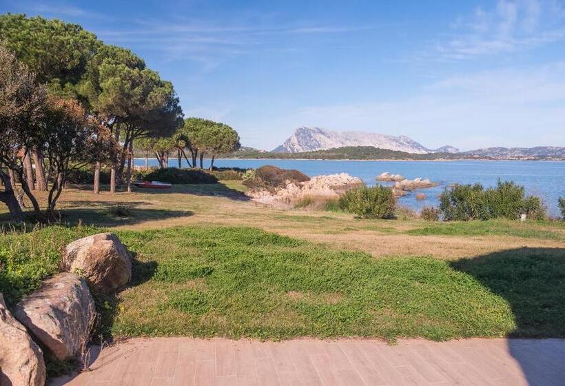 ‫فيلا غرفة نوم واحدة, Ollastu