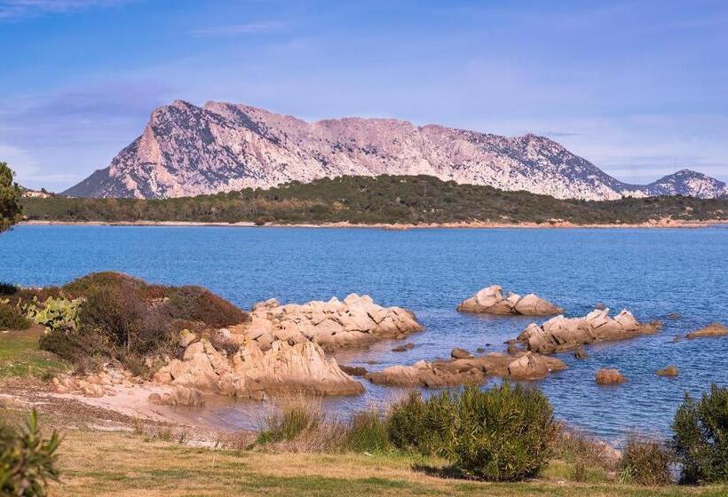 ‫فيلا غرفة نوم واحدة, Ollastu