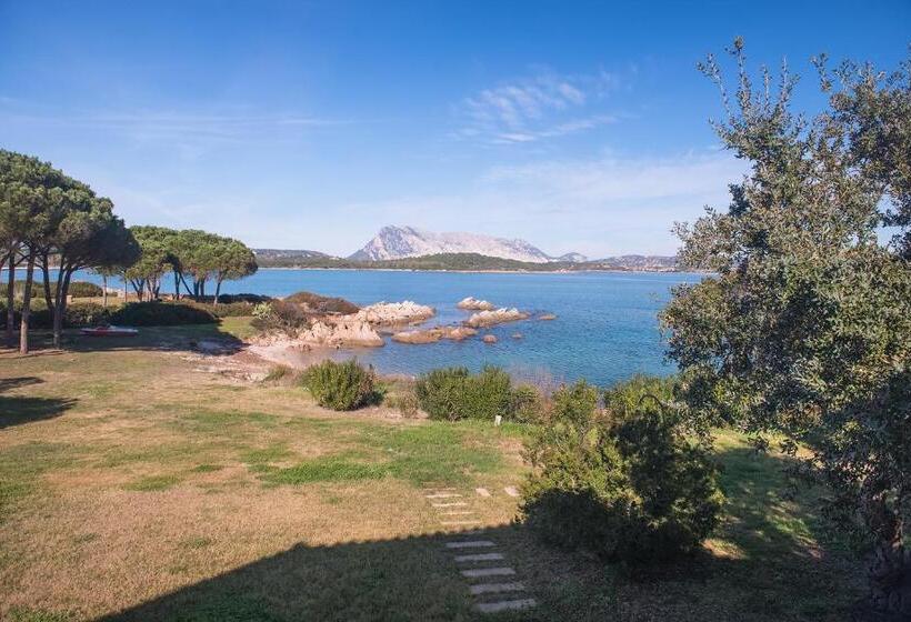 ‫فيلا غرفة نوم واحدة, Ollastu