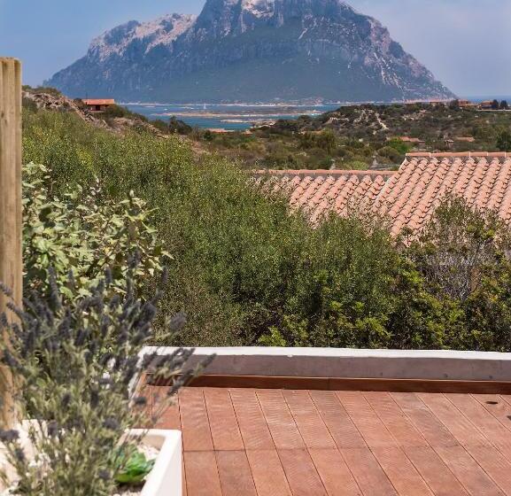 جناح جونيور مزوَّد بحمام سباحة, Ollastu