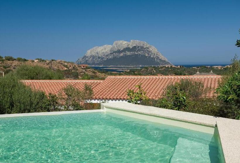 جناح جونيور مزوَّد بحمام سباحة, Ollastu