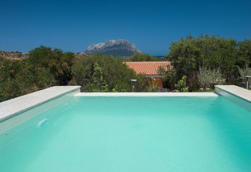 جناح جونيور مزوَّد بحمام سباحة, Ollastu