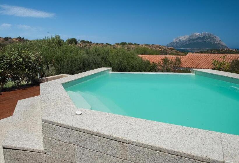 جناح جونيور مزوَّد بحمام سباحة, Ollastu