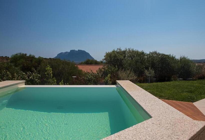 جناح جونيور مزوَّد بحمام سباحة, Ollastu