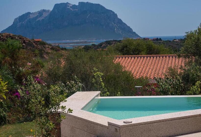 جناح جونيور مزوَّد بحمام سباحة, Ollastu