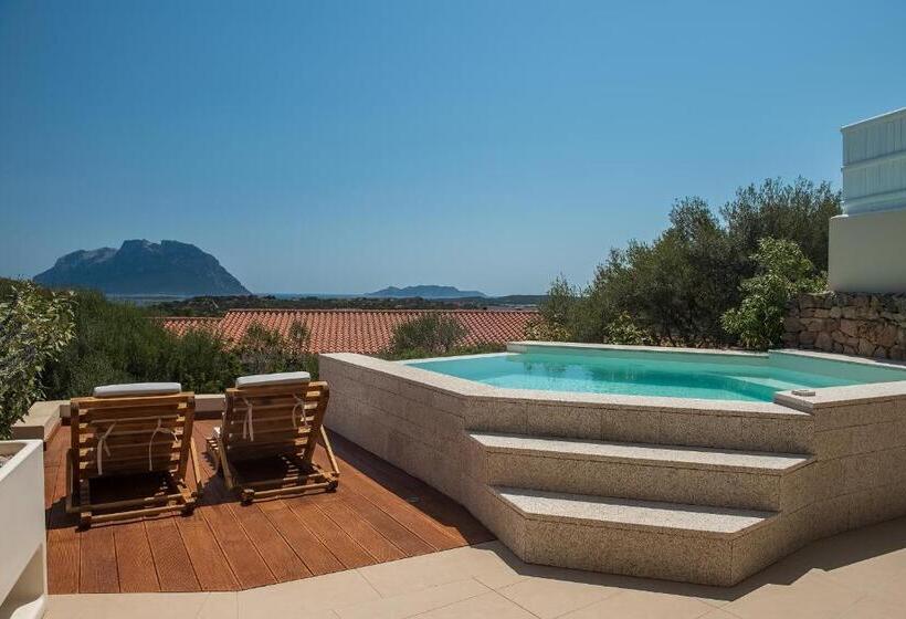 جناح مزود بحمام سباحة, Ollastu