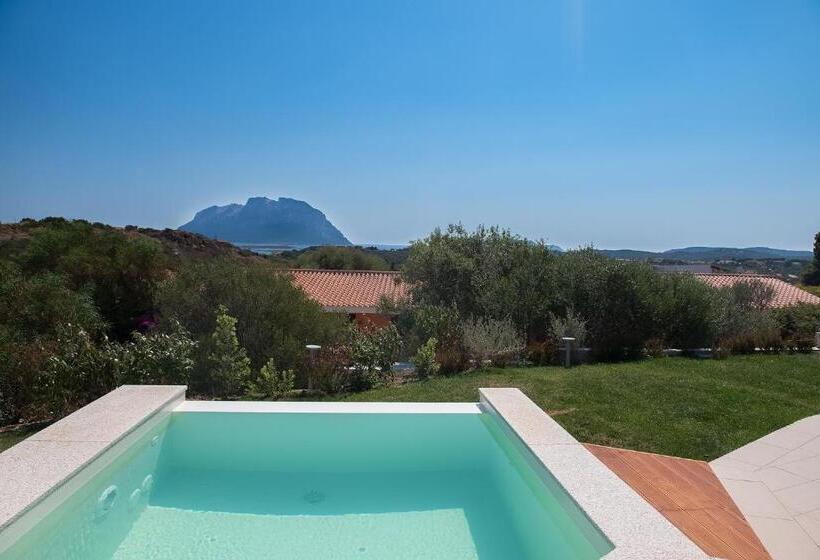 جناح مزود بحمام سباحة, Ollastu