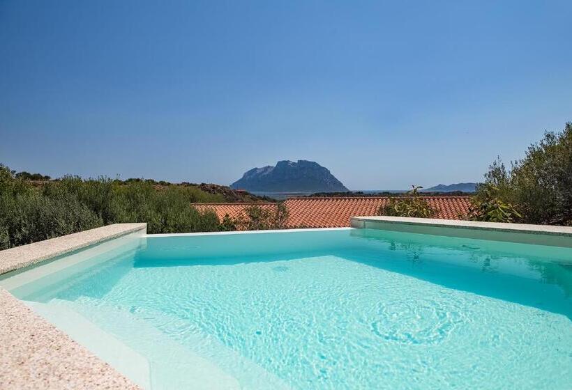 جناح مزود بحمام سباحة, Ollastu