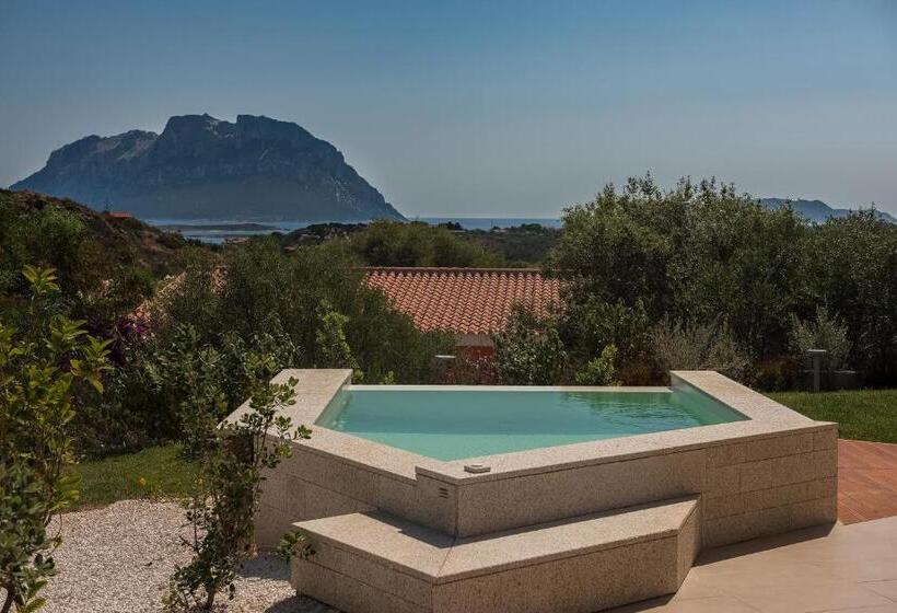 جناح مزود بحمام سباحة, Ollastu