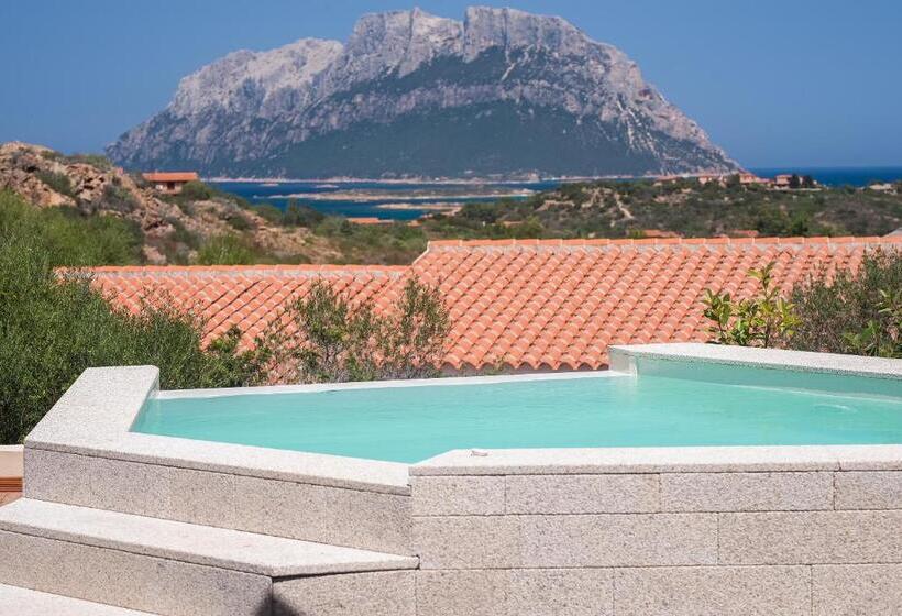 جناح مزود بحمام سباحة, Ollastu