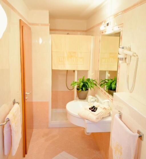 חדר סטנדרט יחיד, Waldheim