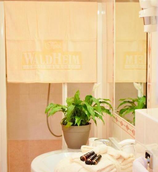 חדר סטנדרט יחיד, Waldheim