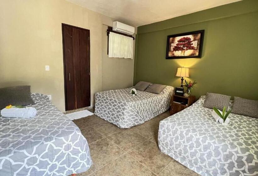 스탠다드 룸, Hokhmah Heart