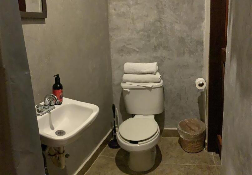 스탠다드 룸, Hokhmah Heart