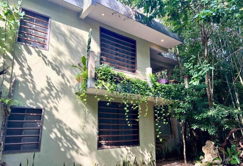 침실 1개 아파트, Hokhmah Heart