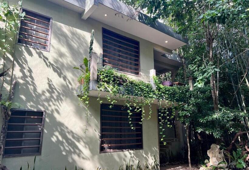 침실 1개 아파트, Hokhmah Heart