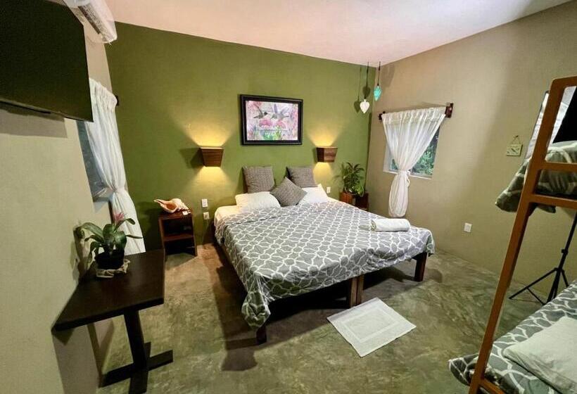 디럭스 패밀리 룸, Hokhmah Heart