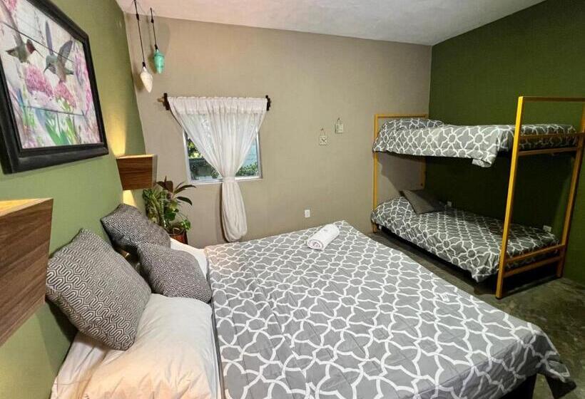 디럭스 패밀리 룸, Hokhmah Heart