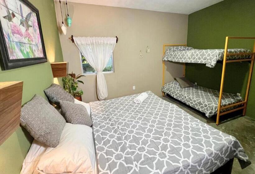 디럭스 패밀리 룸, Hokhmah Heart