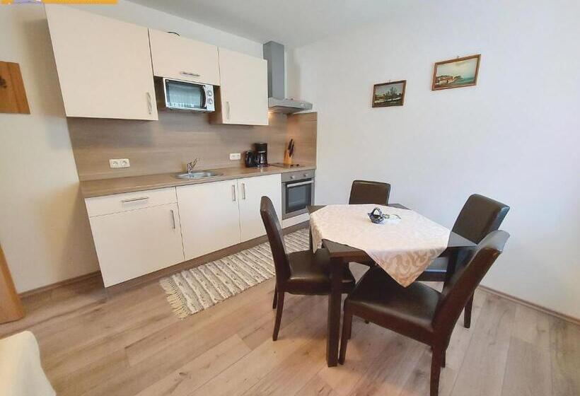 Апартаменты 1 Спальня, Haus Sandlweber By Fis   Fun In Styria