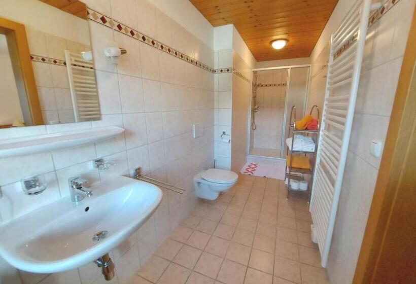 Апартаменты 1 Спальня с Видом, Haus Sandlweber By Fis   Fun In Styria