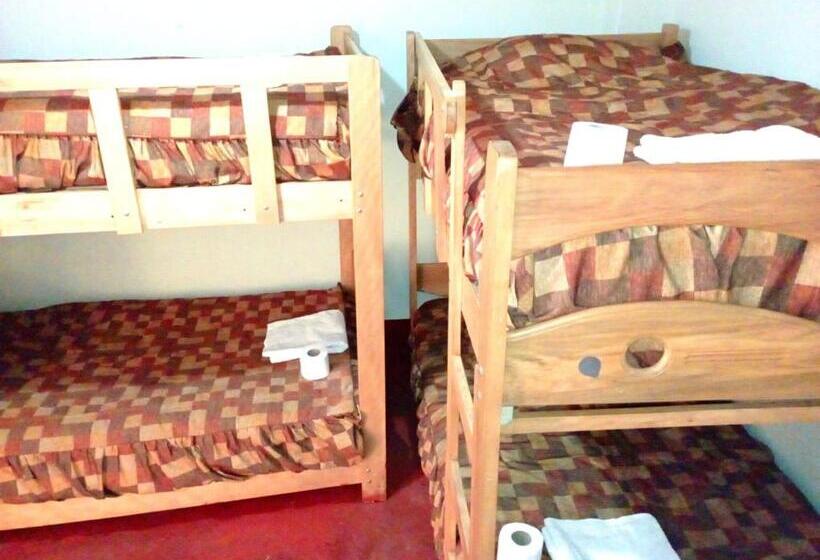 غرفة قياسية رباعية حمام مشترك, Andes Hostel