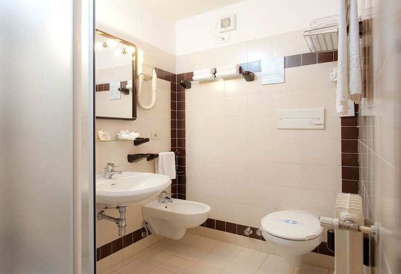 Номер Стандарт Трехместный, Centro Pineta Family Hotel & Wellness