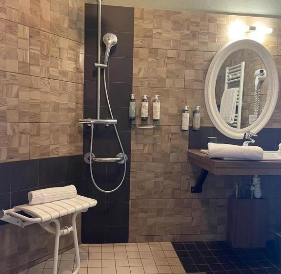 장애인을 위한 스탠다드 룸, Baya