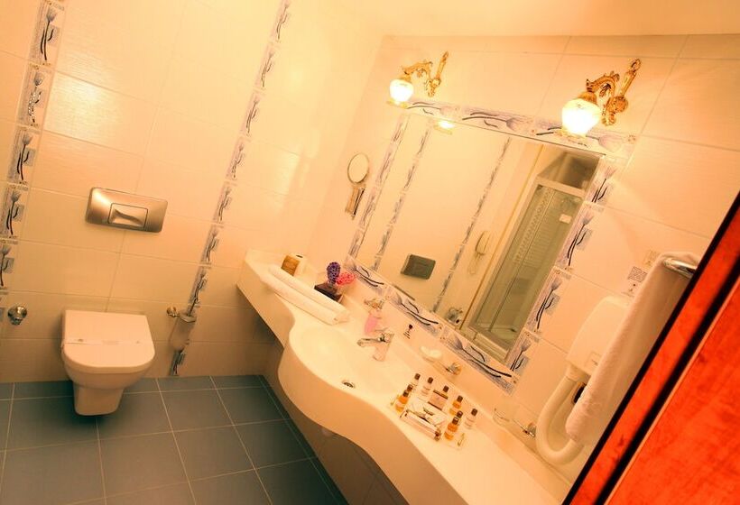 غرفة قياسية, Gungor Ottoman Palace Thermal Resort