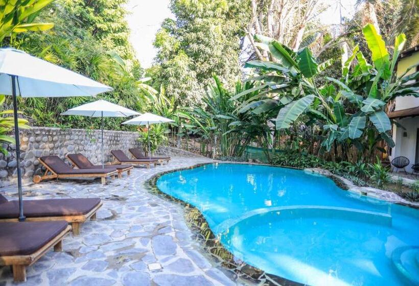 스탠다드 방갈로, Manala