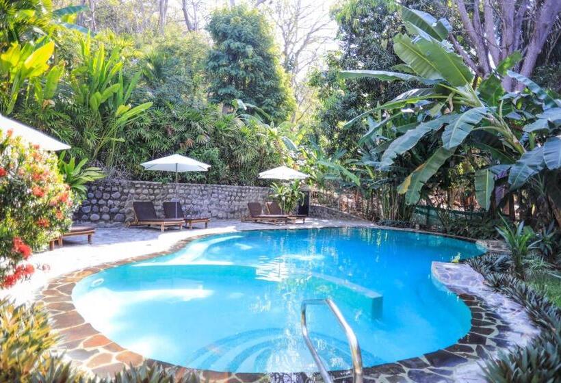 스탠다드 룸 킹사이즈 침대, Manala