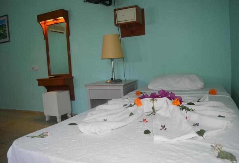 Номер Стандарт, Ares City