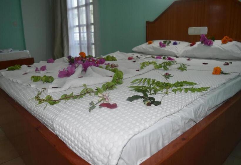 Номер Стандарт, Ares City