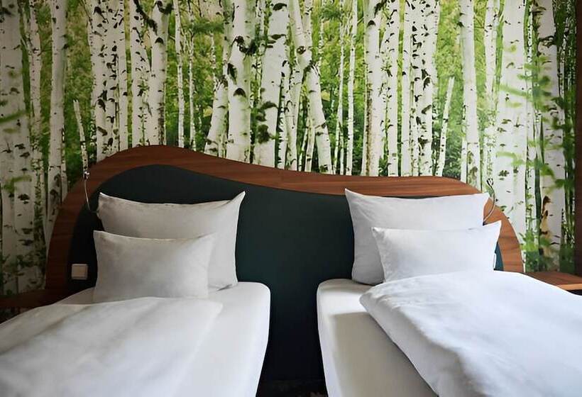 스탠다드 룸, Cocoon Stachus