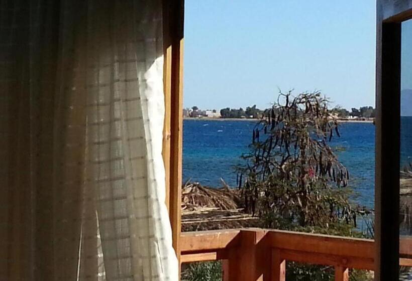 اتاق استاندارد با بالکن, Nakhil Inn Nuweiba