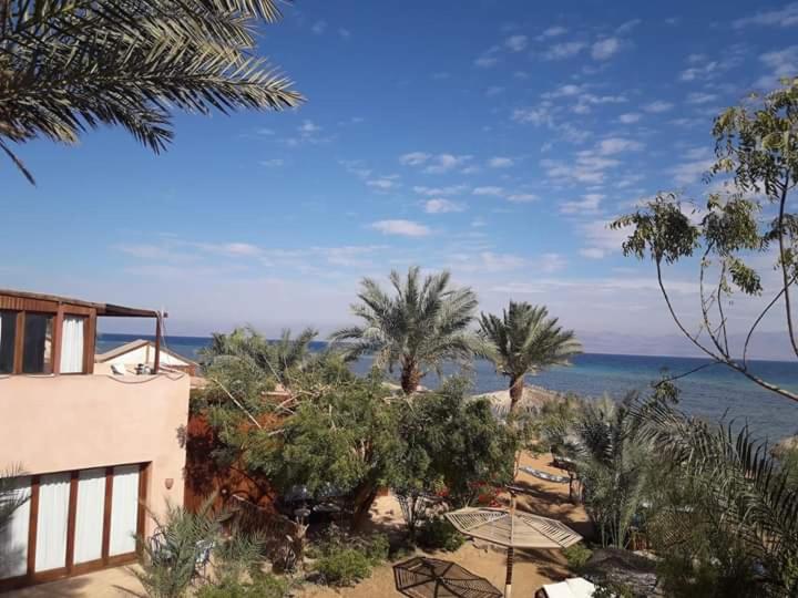 اتاق استاندارد با چشمانداز دریا, Nakhil Inn Nuweiba