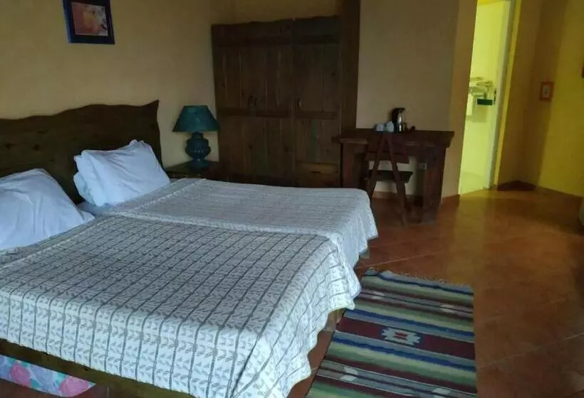 اتاق استاندارد با چشم‌انداز دریا, Nakhil Inn Nuweiba