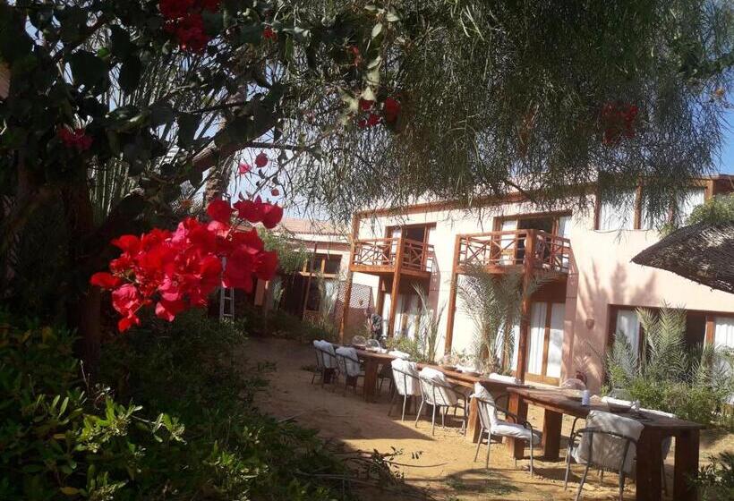 اتاق استاندارد با چشمانداز دریا, Nakhil Inn Nuweiba