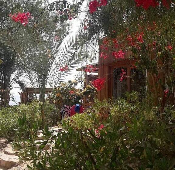 اتاق لوکس سه تخته, Nakhil Inn Nuweiba