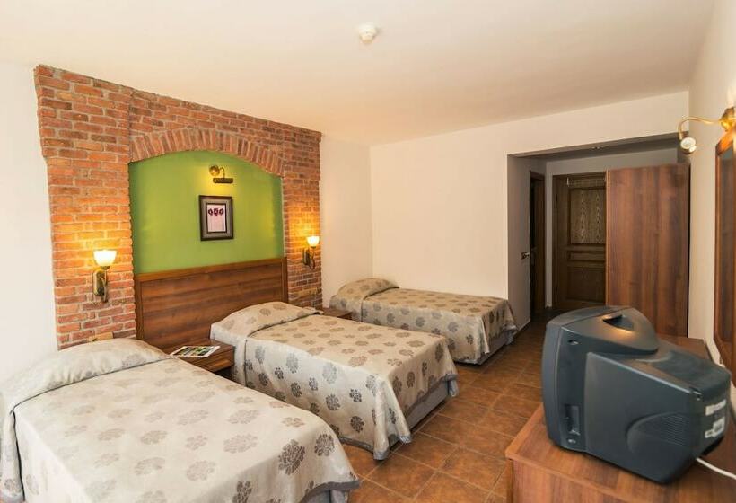 스탠다드 트리플 룸, Natur Med Hot Springs And Health Resort